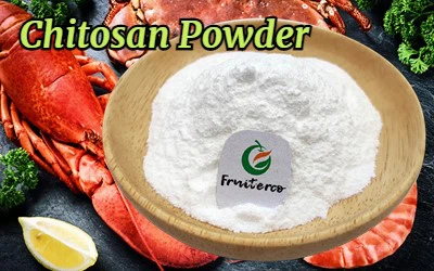 Chitosan 1 Chitosan 1
